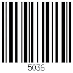 Scannable Barcode