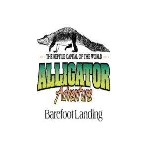 Alligator Adventure